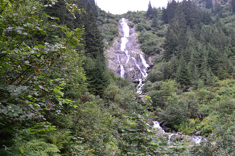 Cascada Serbota